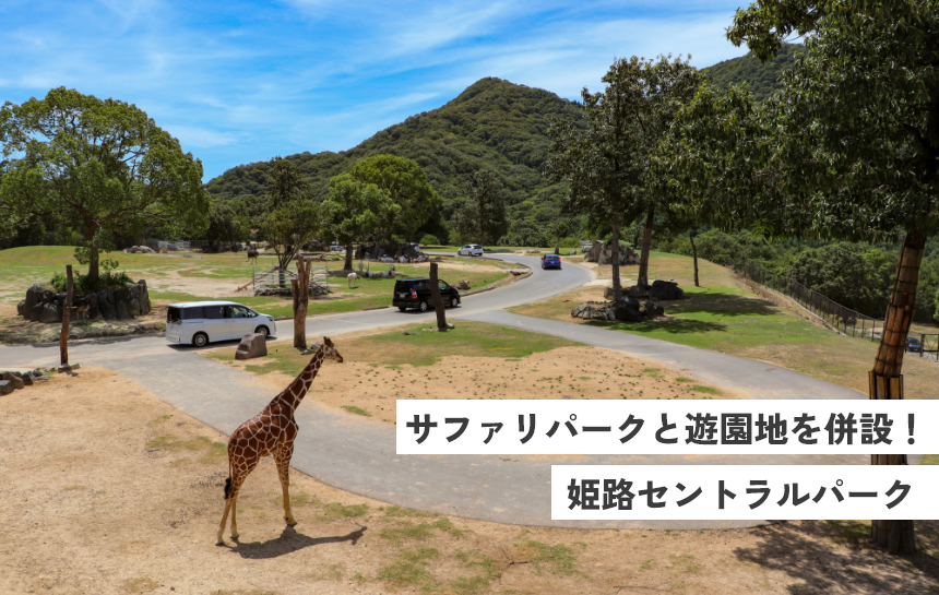 サファリパークと遊園地を併設！姫路セントラルパーク